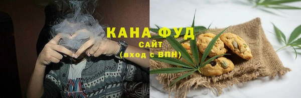 гидра Медногорск