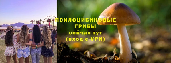 СК Бородино