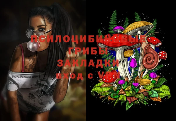 гидра Медногорск