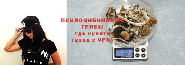 прущие грибы Мегион