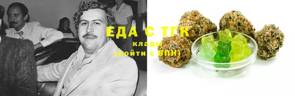 гидра Медногорск