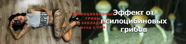гидра Медногорск