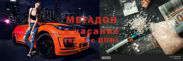 прущие грибы Мегион