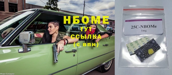 прущие грибы Мегион