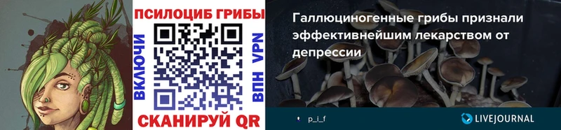 Псилоцибиновые грибы Cubensis  даркнет сайт  Правдинск 